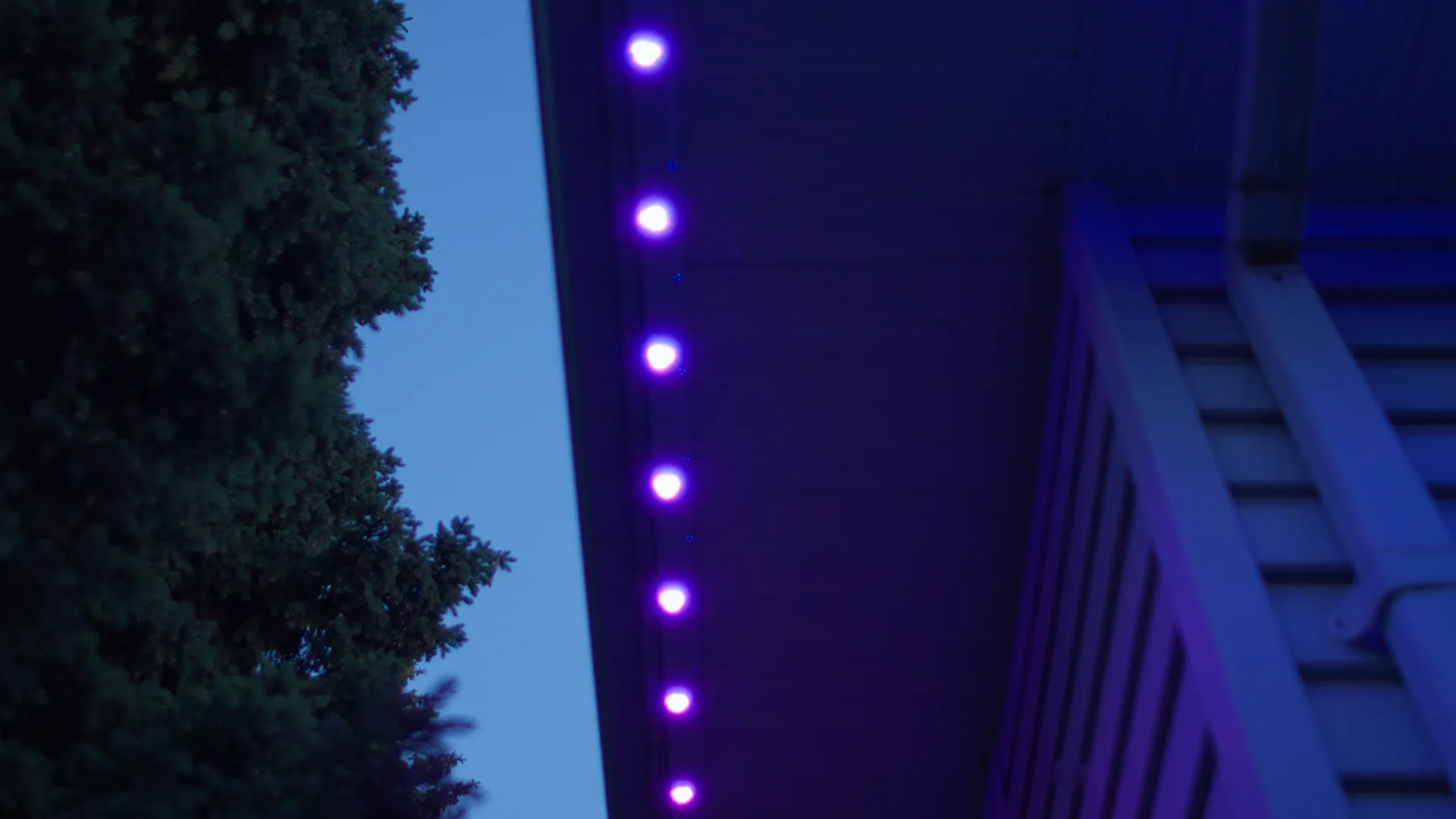 Cool Lights Houston Gallery - image 6